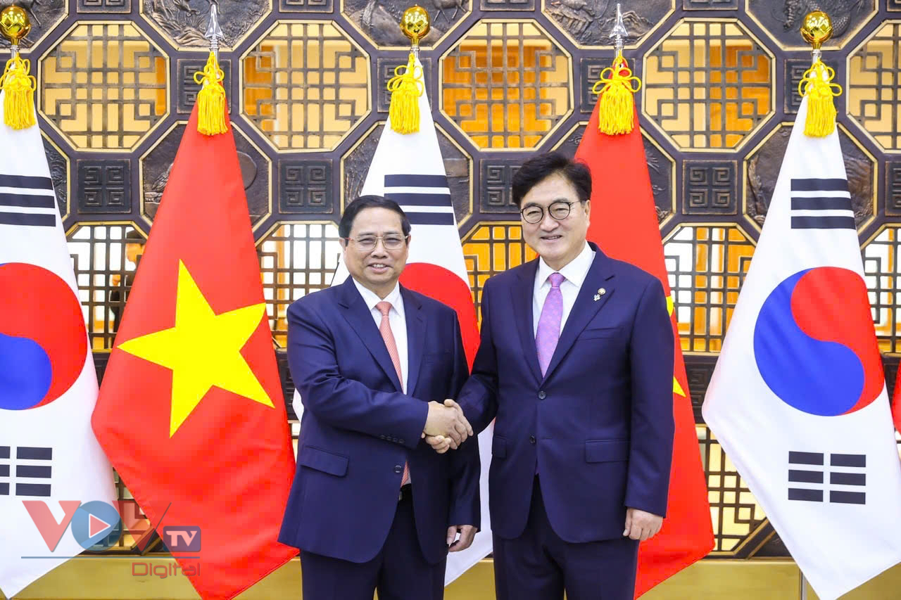 Thủ tướng Chính phủ Phạm Minh Chính hội kiến Chủ tịch Quốc hội Hàn Quốc Woo Won-sik- Ảnh 3.