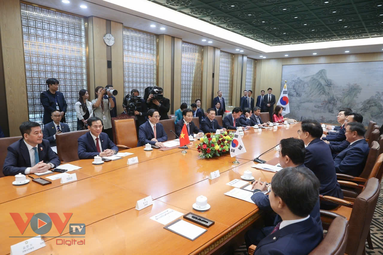 Thủ tướng Chính phủ Phạm Minh Chính hội kiến Chủ tịch Quốc hội Hàn Quốc Woo Won-sik- Ảnh 8.