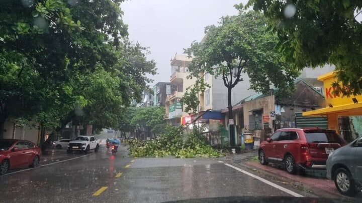 Bão số 2 suy yếu thành áp thấp nhiệt đới, Quảng Ninh - Hải Phòng mưa lớn- Ảnh 6.