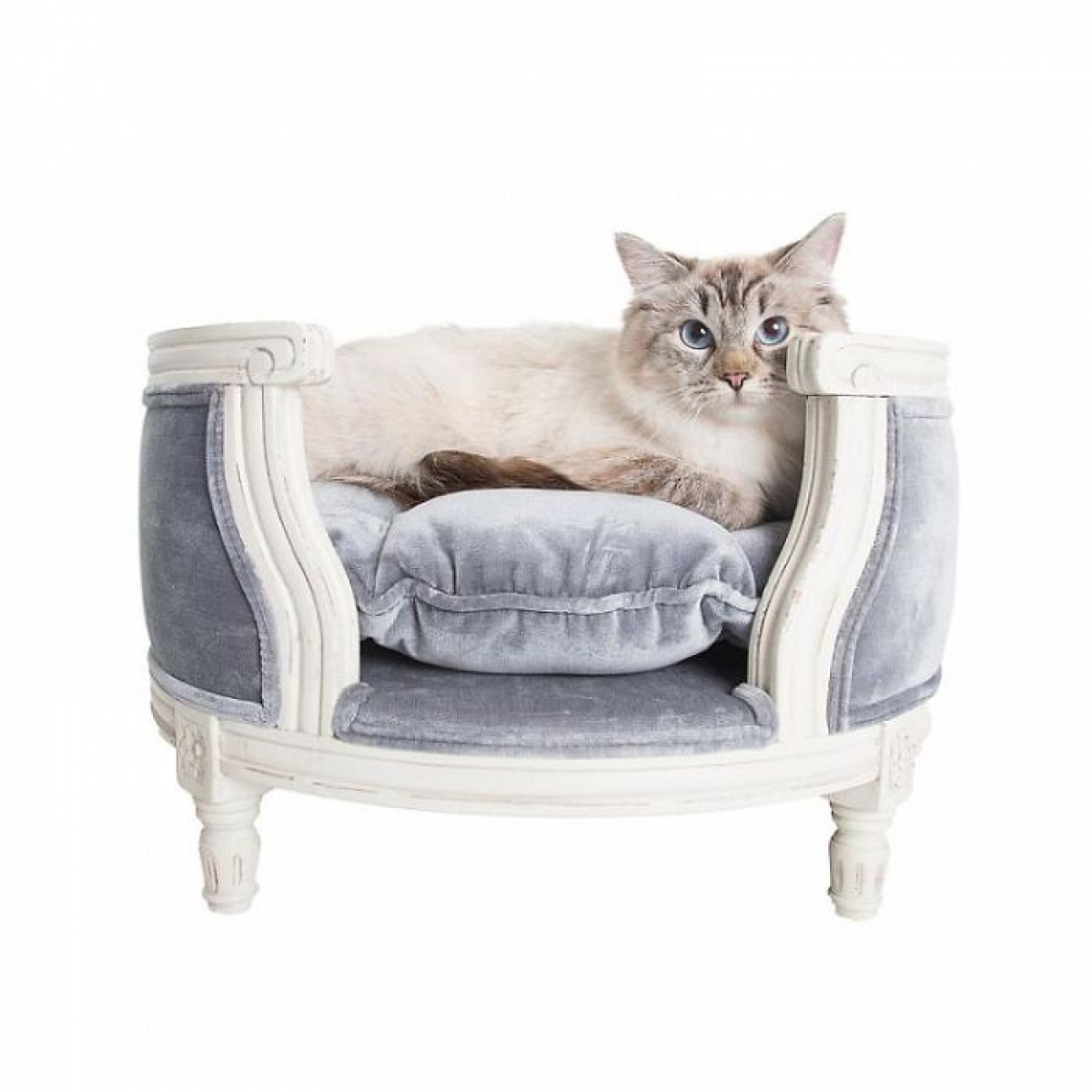 Giường nhung màu xám kèm đệm nằm, các chi tiết thiết kế tỉ mỉ dành cho cô mèo này có giá 945 đô.