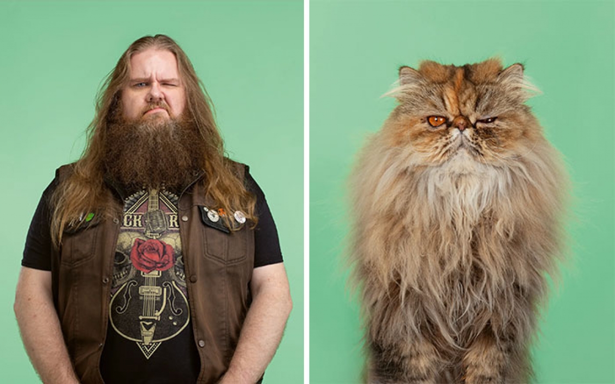 Bộ râu của người đàn ông và chú mèo xù rất giống nhau.