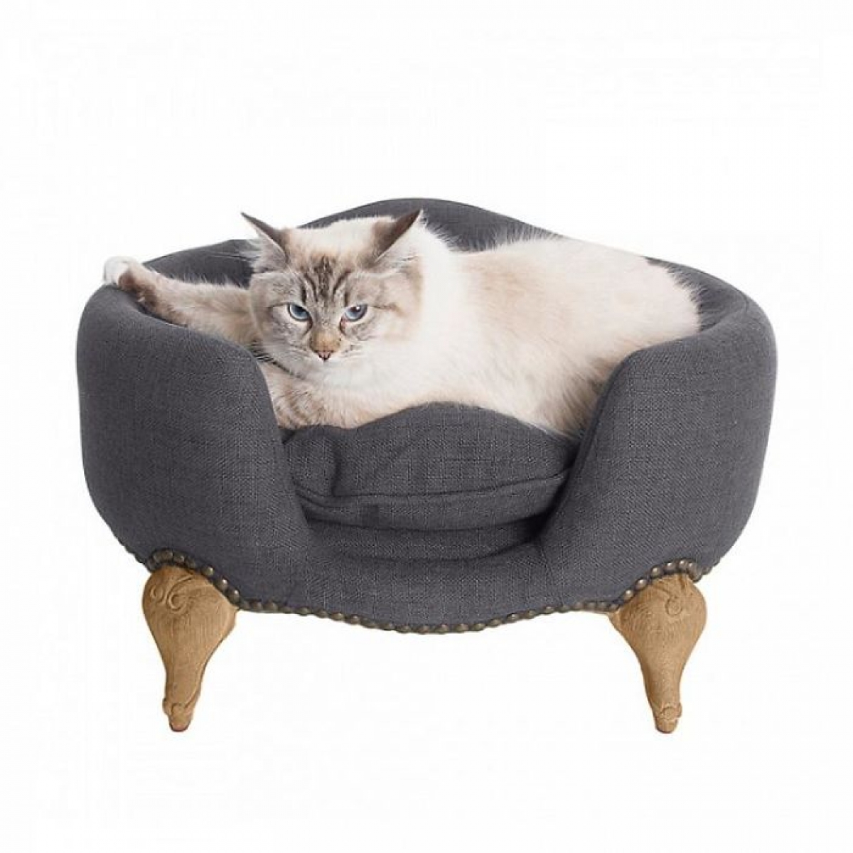 Vẻ oai vệ của chú mèo khi nằm trên chiếc giường màu xám chân gỗ nạm đinh có giá 925 đô./.