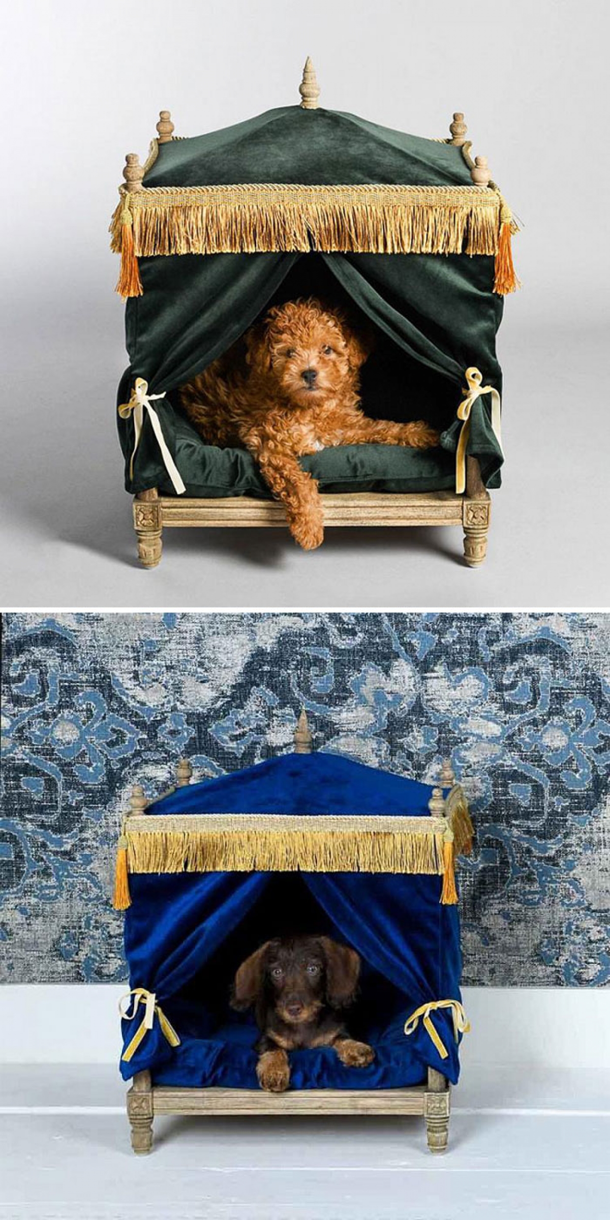 Những mẫu giường từ gỗ sồi, thảm nhung rèm này có giá mềm hơn một chút: 645 đô.