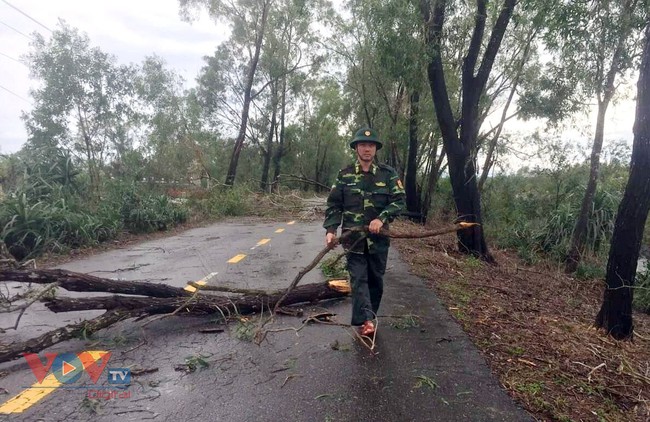 Các chiến sĩ lực lượng vũ trang tham gia dọn dẹp cây xanh ngã đổ