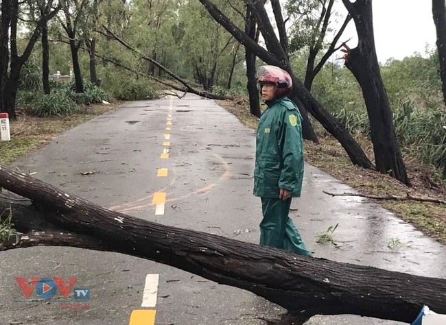 Quảng Trị không có thiệt hại lớn do bão số 13 gây nên - Ảnh 1.