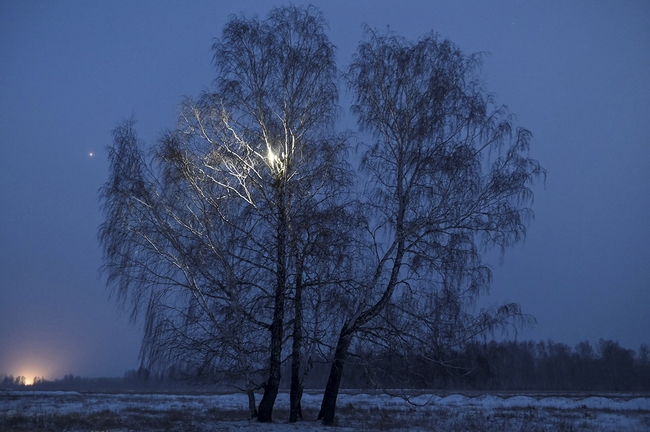 Siberia: Trèo lên cây để... học trực tuyến  - Ảnh 6.