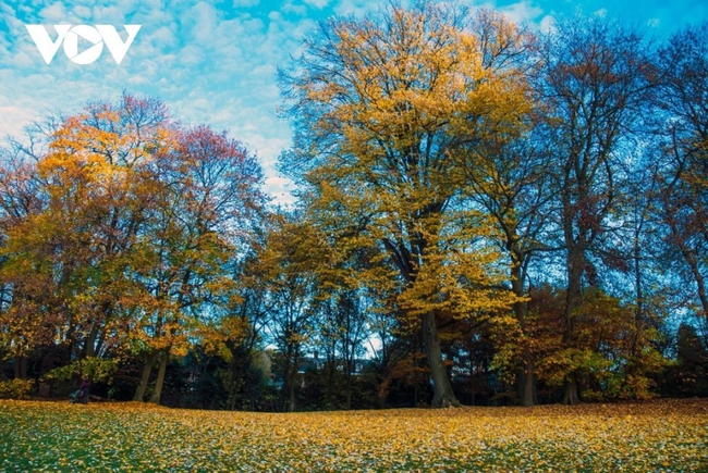 Chiêm ngưỡng phong cảnh mùa thu hữu tình tại Bỉ - Ảnh 2.