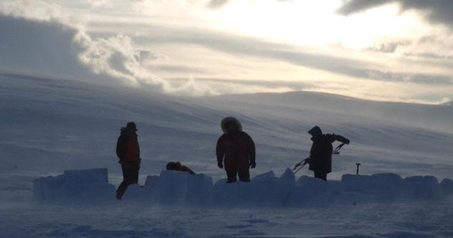 10 câu chuyện khó tin về việc sinh tồn ở Bắc Cực - Ảnh 6.