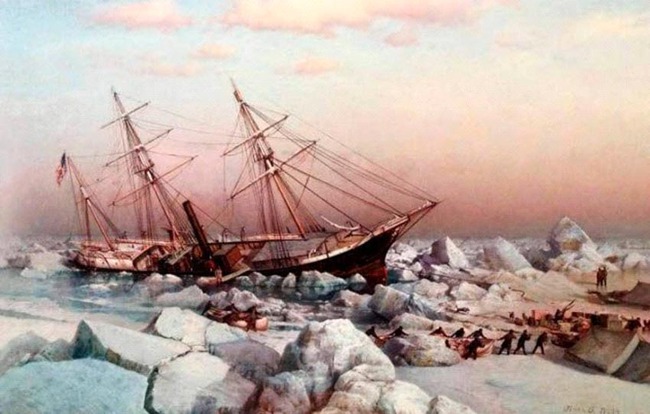 10 câu chuyện khó tin về việc sinh tồn ở Bắc Cực - Ảnh 7.