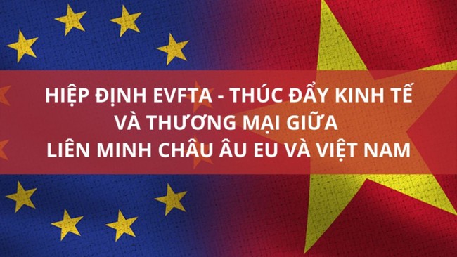 Ý tưởng dùng chợ của Việt kiều để trợ lực xuất khẩu sang EU - Ảnh 3.