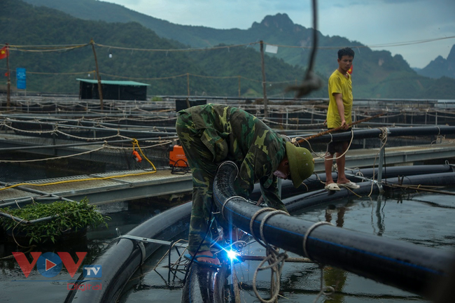 Cận cảnh trại cá tầm 100 tỷ đồng trên lòng hồ thủy điện Sơn La - Ảnh 9.