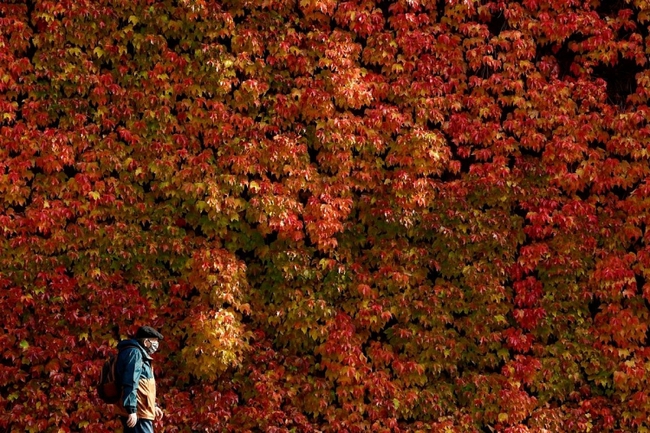 Vòng quanh thế giới để cảm nhận sắc màu mùa thu đẹp đến mê hồn - Ảnh 1.