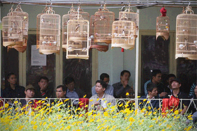 Góc ngã tư Nguyễn Thượng Hiền, Nguyễn Du, Trần Bình Trọng là nơi tụ tập đông đủ của không ít 'cao thủ 'chơi chim'. Và nhiều người muốn đến nghe chim hót. Ảnh: Vnexpress