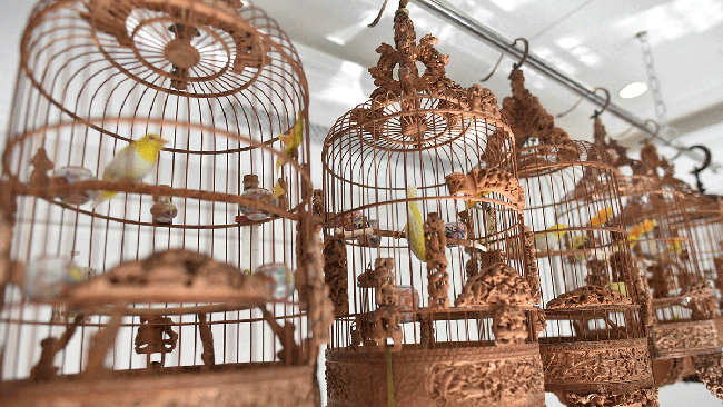 Một trong những chiếc lồng đựng chim được chạm khắc theo các tích nổi tiếng như Thủy Hử, Hồng Lâu Mộng, Tam Quốc... Ảnh: Dân Trí