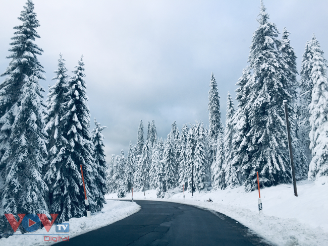 Cảnh tuyết trắng đẹp như mơ ở Bayern, Đức - Ảnh 1.