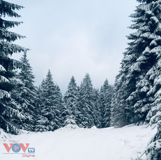 Cảnh tuyết trắng đẹp như mơ ở Bayern, Đức - Ảnh 2.