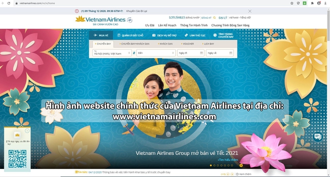 Nhiều website giả mạo Vietnam Airlines, bán vé máy bay giả dịp Tết - Ảnh 2.