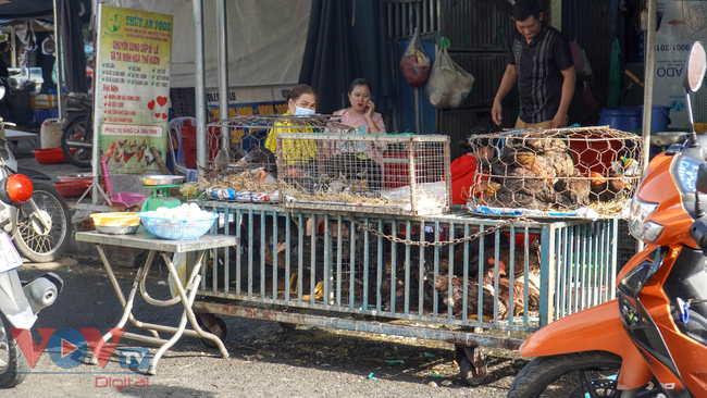Buổi sáng bên chợ Xóm Mới, Nha Trang - Ảnh 6.