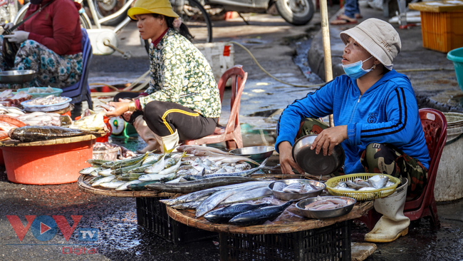 Buổi sáng bên chợ Xóm Mới, Nha Trang - Ảnh 7.