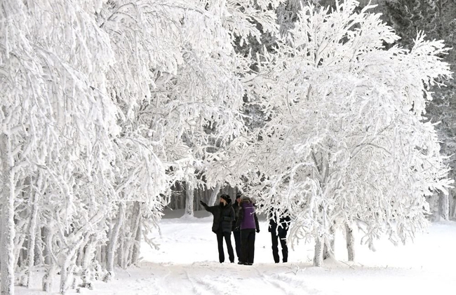 Băng tuyết trắng xóa bên sông Yenisei, Siberia, nước Nga - Ảnh 1.