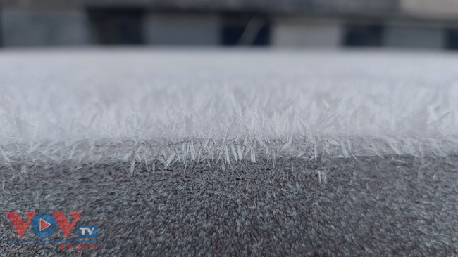 Ngắm sương muối, băng giá đẹp như tranh phủ trắng đỉnh Fansipan - Ảnh 8.