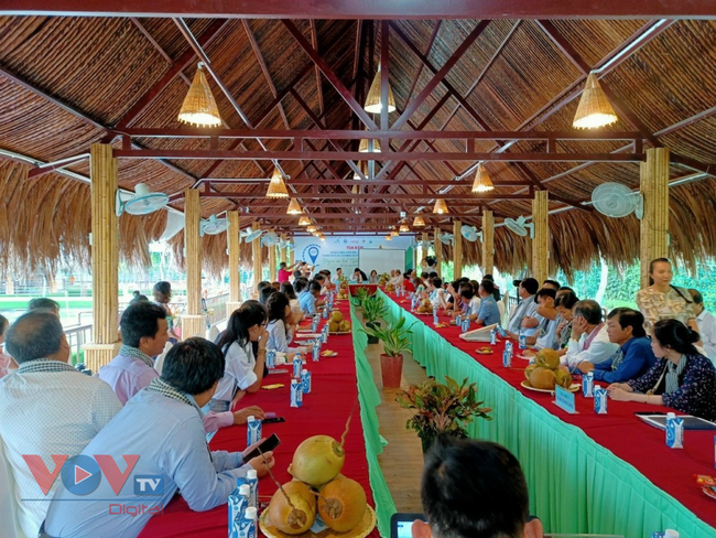 Nhiều doanh nghiệp du lịch nỗ lực giữ chân du khách ở Đồng bằng sông Cửu Long - Ảnh 10.