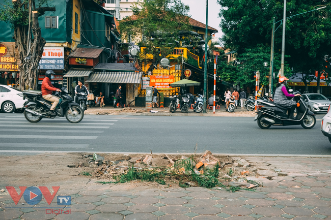Di chuyển, đốn chặt 40 cây xanh trên phố Trần Hưng Đạo, Hà Nội - Ảnh 4.