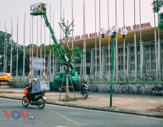 Di chuyển, đốn chặt 40 cây xanh trên phố Trần Hưng Đạo, Hà Nội - Ảnh 8.