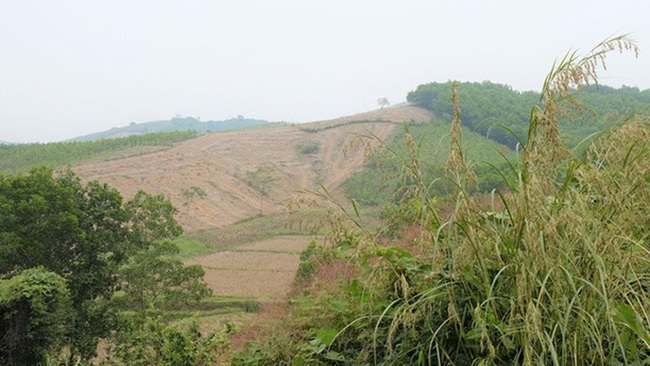 Người đàn ông bị cắt lìa &quot;của quý&quot; trên đồi cao su - Ảnh 1.