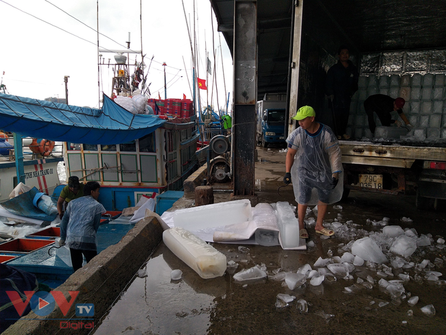 Khánh Hòa: Chợ đầu mối, cảng cá nhộn nhịp đầu năm mới - Ảnh 3.