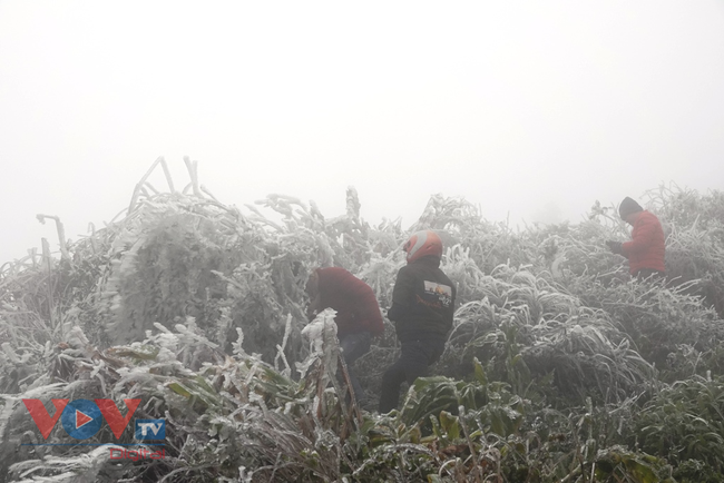 Các huyện vùng cao Yên Bái ứng phó với băng giá, rét hại - Ảnh 1.