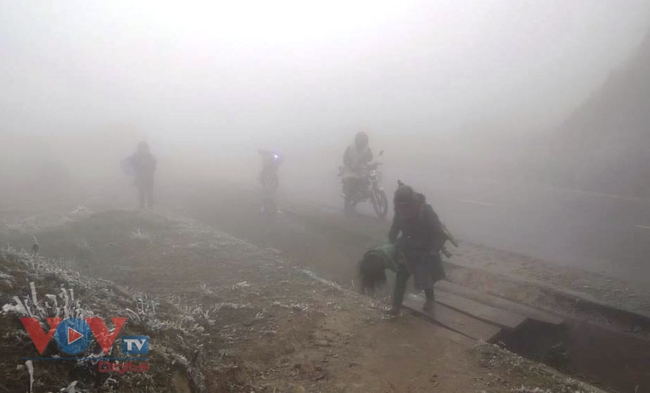 Các huyện vùng cao Yên Bái ứng phó với băng giá, rét hại - Ảnh 11.