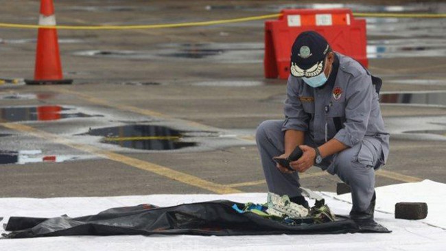 Chuyên gia dự đoán 3 nguyên nhân của vụ máy bay rơi ở Indonesia - Ảnh 1.