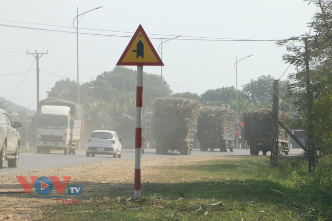 Nguy cơ mất ATGT từ những xe tải chở mía trên nhiều tuyến đường ở Thanh Hóa - Ảnh 10.
