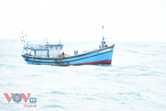 Tàu Kiểm ngư cứu nạn tàu cá Đà Nẵng bị nạn trên biển - Ảnh 2.