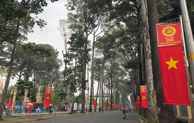 Đường phố TPHCM lung linh rực rỡ cờ hoa chào mừng Đại hội Đảng toàn quốc lần thứ 13 - Ảnh 15.