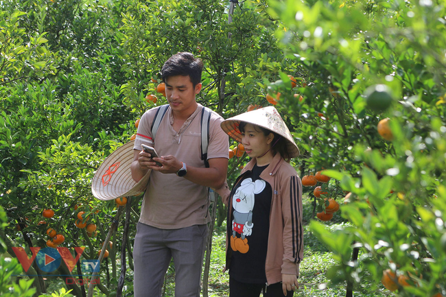 Tết cùng chụp ảnh vườn quýt hồng Lai Vung và làng hoa Sa Đéc ở tỉnh Đồng Tháp - Ảnh 7.
