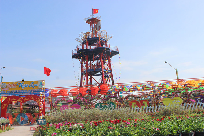 Tết cùng chụp ảnh vườn quýt hồng Lai Vung và làng hoa Sa Đéc ở tỉnh Đồng Tháp - Ảnh 16.