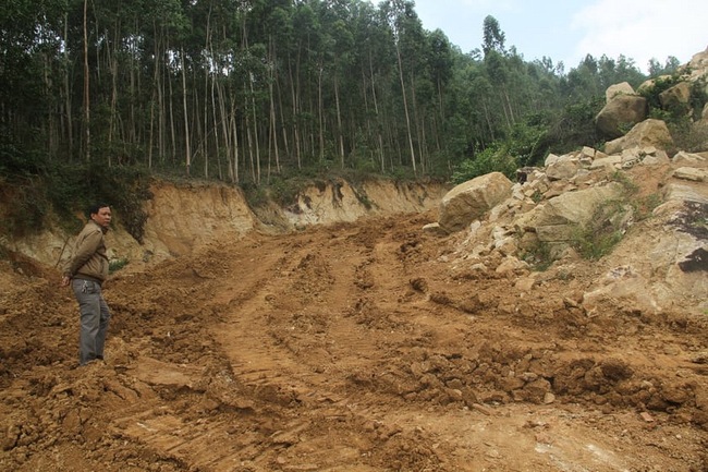 Bình Định: Xử lý nghiêm tình trạng khai thác đá trái phép trên núi Hòn Chà - Ảnh 1.