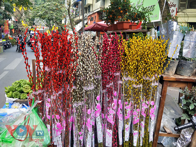 Rực rỡ sắc màu chợ hoa những ngày cận Tết - Ảnh 6.
