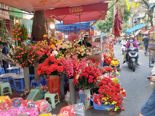 Rực rỡ sắc màu chợ hoa những ngày cận Tết - Ảnh 7.
