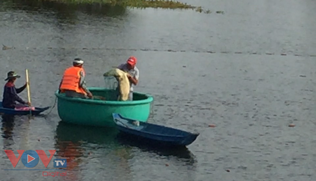 Bắt được cá sấu nghi sổng chuồng ở một hồ nước tại Vũng Tàu - Ảnh 2.