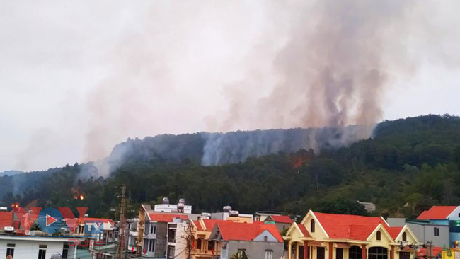 Hàng trăm người thức xuyên đêm dập cháy rừng tại Hạ Long - Ảnh 1.