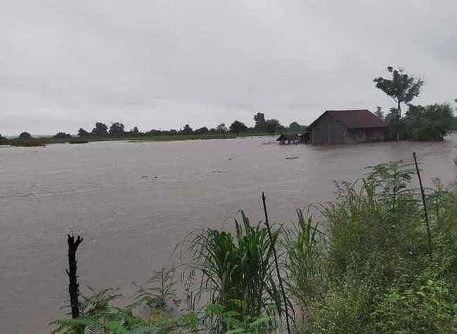  Đắk Đắk: Mưa lớn kéo dài gây ngập lụt nhiều khu dân cư - Ảnh 2.