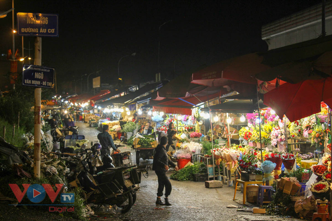 Tiểu thương 'xót ruột' nhìn chợ hoa lớn nhất Hà Nội vắng khách trước ngày 20/10 - Ảnh 1.