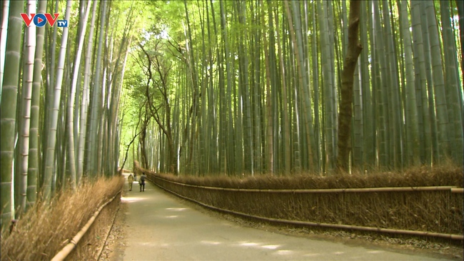 Những Nét Đẹp Vùng Kansai Nhật Bản: Arashiyama - Ảnh 4.