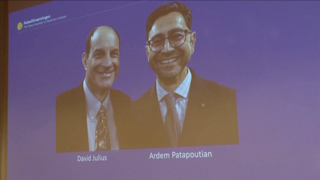 Hai nhà khoa học Mỹ David Julius và Ardem Patapoutian đoạt giải Nobel Y sinh 2021 - Ảnh 1.