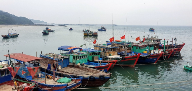 Các tàu thuyền trên huyện đảo Cô Tô về nơi tránh trú an toàn.jpg