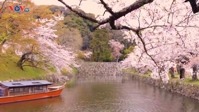 Những Nét Đẹp Vùng Kansai Nhật Bản: Lâu đài Hikone - Ảnh 5.