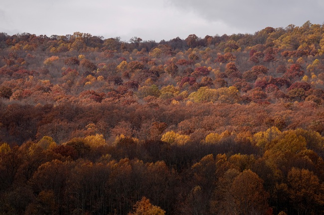 Khung cảnh thiên nhiên lãng mạn của mùa thu nước Mỹ - Ảnh 7.